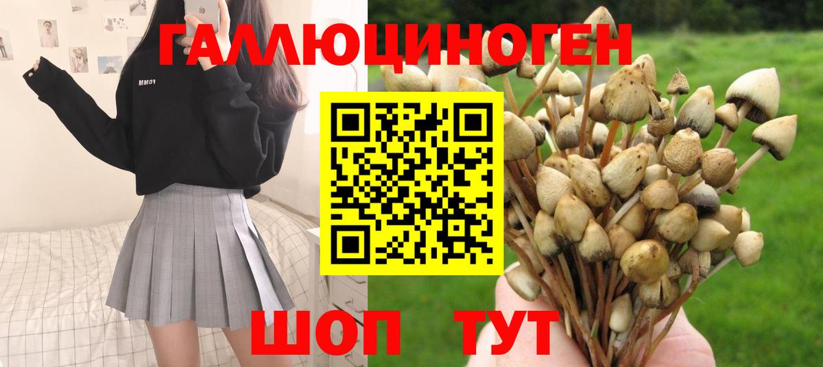 Галлюциногенные грибы мухоморы Новоуральск